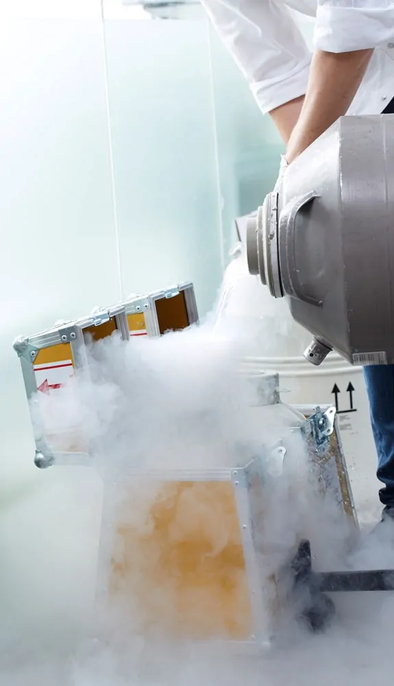 Sperm being stored in a nitrogen tank with liquid nitrogen