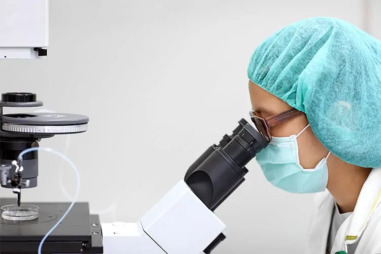 A semen analysis is performed in a laboratory