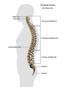 Pregnancy and Paralysis - Christopher & Dana Reeve Foundation