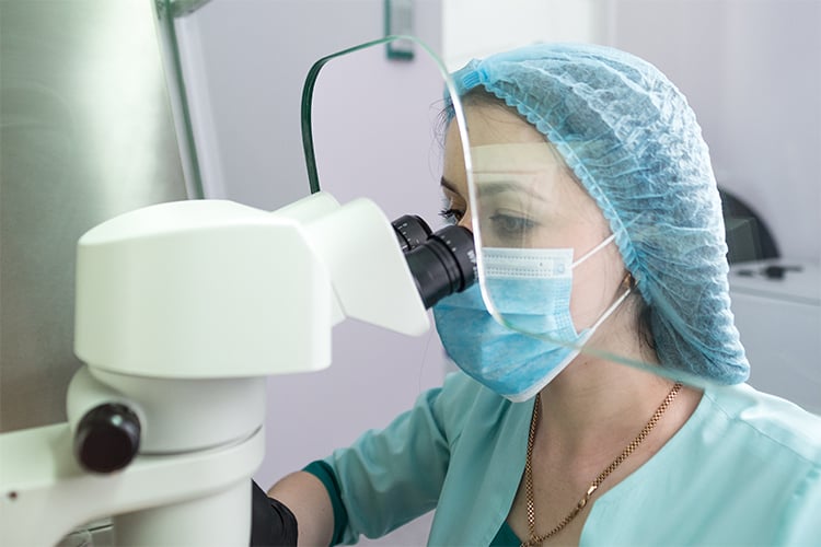 The embryologist uses a high-power microscope during the embryo transfer